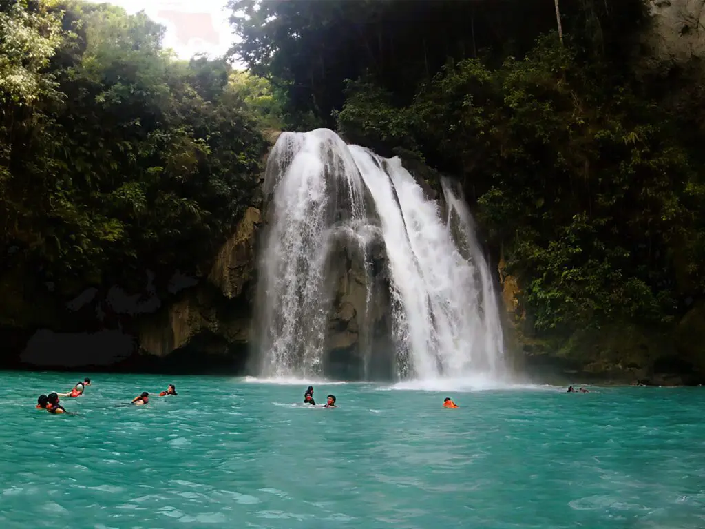 People swimming near a beautiful waterfall in a lush forest.