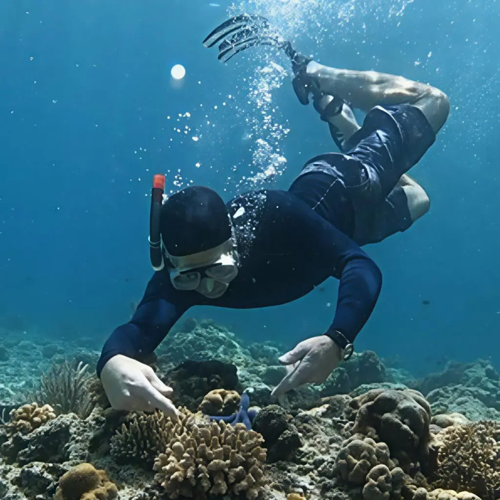 A scuba diver explores coral reefs underwater.