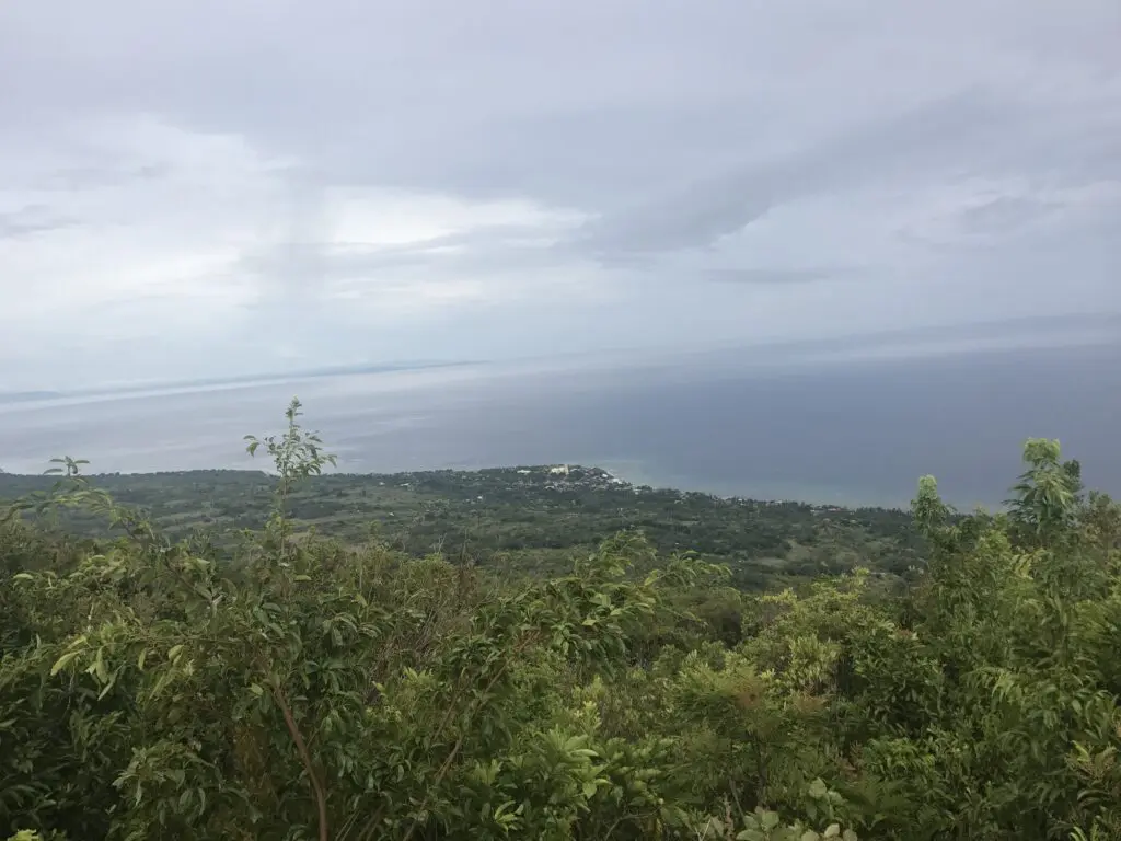 Lush greenery overlooking a calm sea under a cloudy sky.
