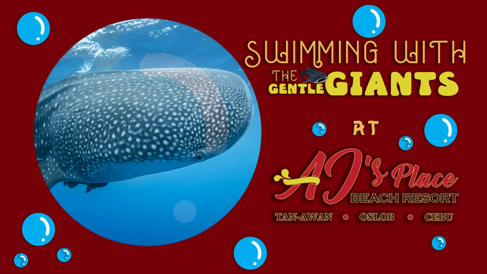 Whale shark swimming gently in deep blue water.