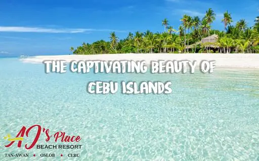 Scenic view of clear waters and palm trees at Cebu Islands Beach Resort.
