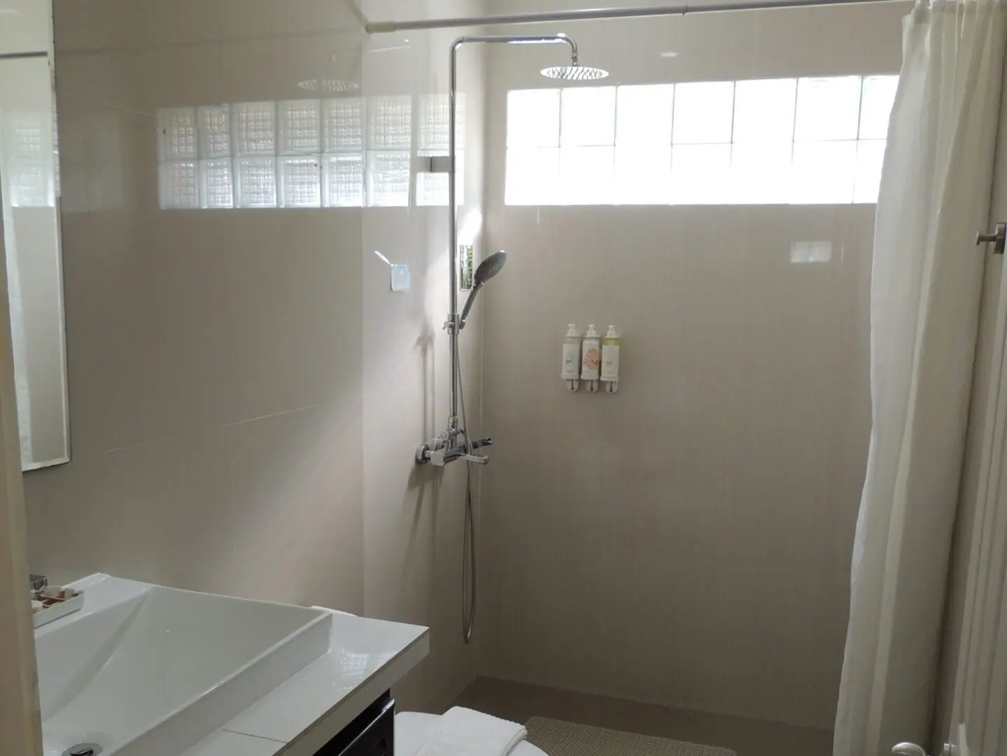 Minimalist bathroom with walk-in shower and natural light.