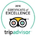 tripadvisor