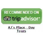 tripadvisor